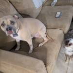 Photo of Khloe & Watson