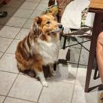 Photo of Kevin & Beverley