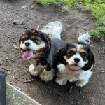 Photo of Chloe and Millie