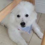 Photo of Jeffy & Billy