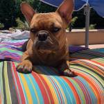 Photo of Bernie Tobiasz