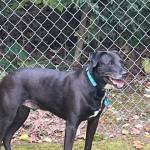 Photo of Griffin & Jessie