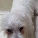 Photo of Jamie Lynn and Sophie Ann