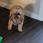 Photo of blitz, twix