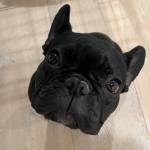 Photo of Vivi / Frankie