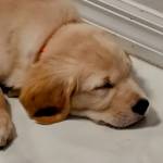 Photo of Finley & Farley