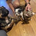 Photo of Emma & Oliver