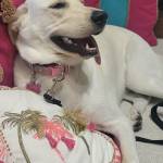 Photo of Daisy & Finley