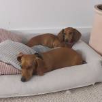 Photo of Bimba & Angie