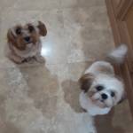 Photo of Alice and Olivia