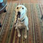 Photo of Olive / Daisy