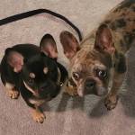 Photo of Zeus & Freya