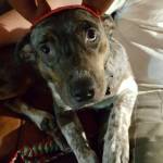 Photo of Roxas & Khloe