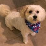 Photo of Patti Caddell