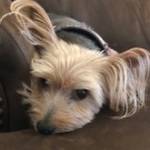 Photo of CJ & Bonnie