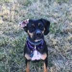 Photo of Luna & Grace