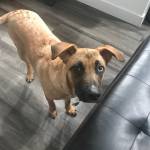 Photo of Nollie / Surly