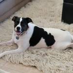 Photo of Daisy & Frank