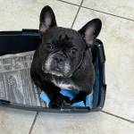 Photo of Roco, Camila, & Misha