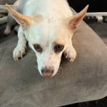 Photo of Colby / Dio / Faye