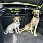 Photo of Canby, Dottie and Ernie