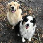 Photo of Kogel & Abbey