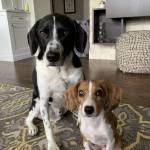 Photo of Caico & Drift