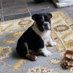 Photo of Bonnie Blue