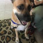 Photo of Prudence Fiona Sadie