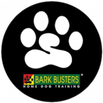 Photo of Stormy / Molly