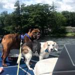 Photo of Jerry & Stella