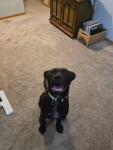 Photo of Tank