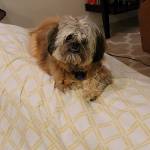 Photo of Simon & Sofi