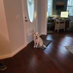 Photo of Stevie Nicks