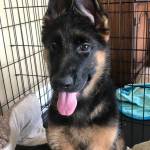 Photo of Hans / Ella