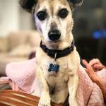 Photo of Freddy & Max