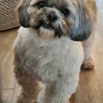 Photo of Cocoa & Rocky