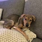 Photo of Corduroy and Kane