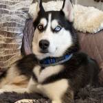 Photo of Luka & Vivi