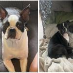 Photo of Ranger & Charlie