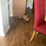 Photo of Circe & Freya