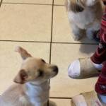 Photo of Mio and Lilly