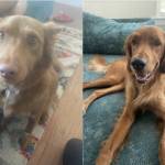 Photo of Lucy & Cornbread