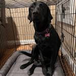 Photo of Maggie May Wayne