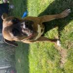 Photo of Sugar