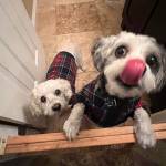 Photo of Matias / Max