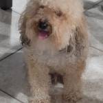 Photo of Toby, Sarah & Charlie