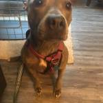 Photo of Fenway/ Mila