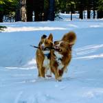 Photo of Fred & Lola