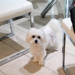 Photo of Cody & Mason